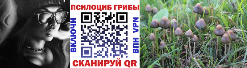 Купить где  Георгиевск  Галлюциногенные грибы Cubensis 